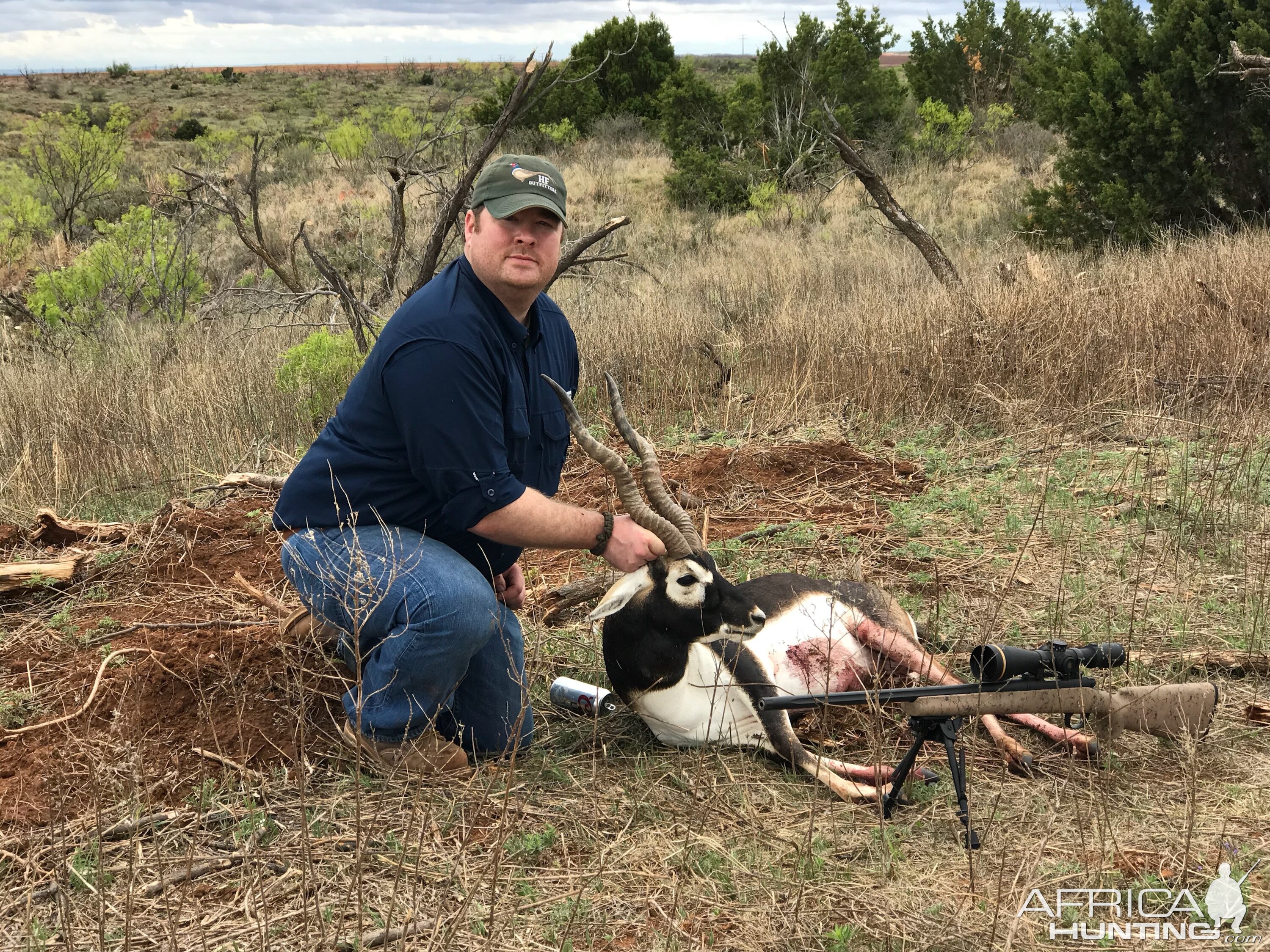 Hunt Blackbuck in Texas