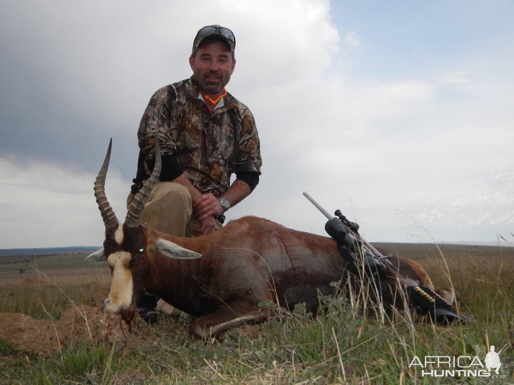 Hunt Blesbok in South Africa