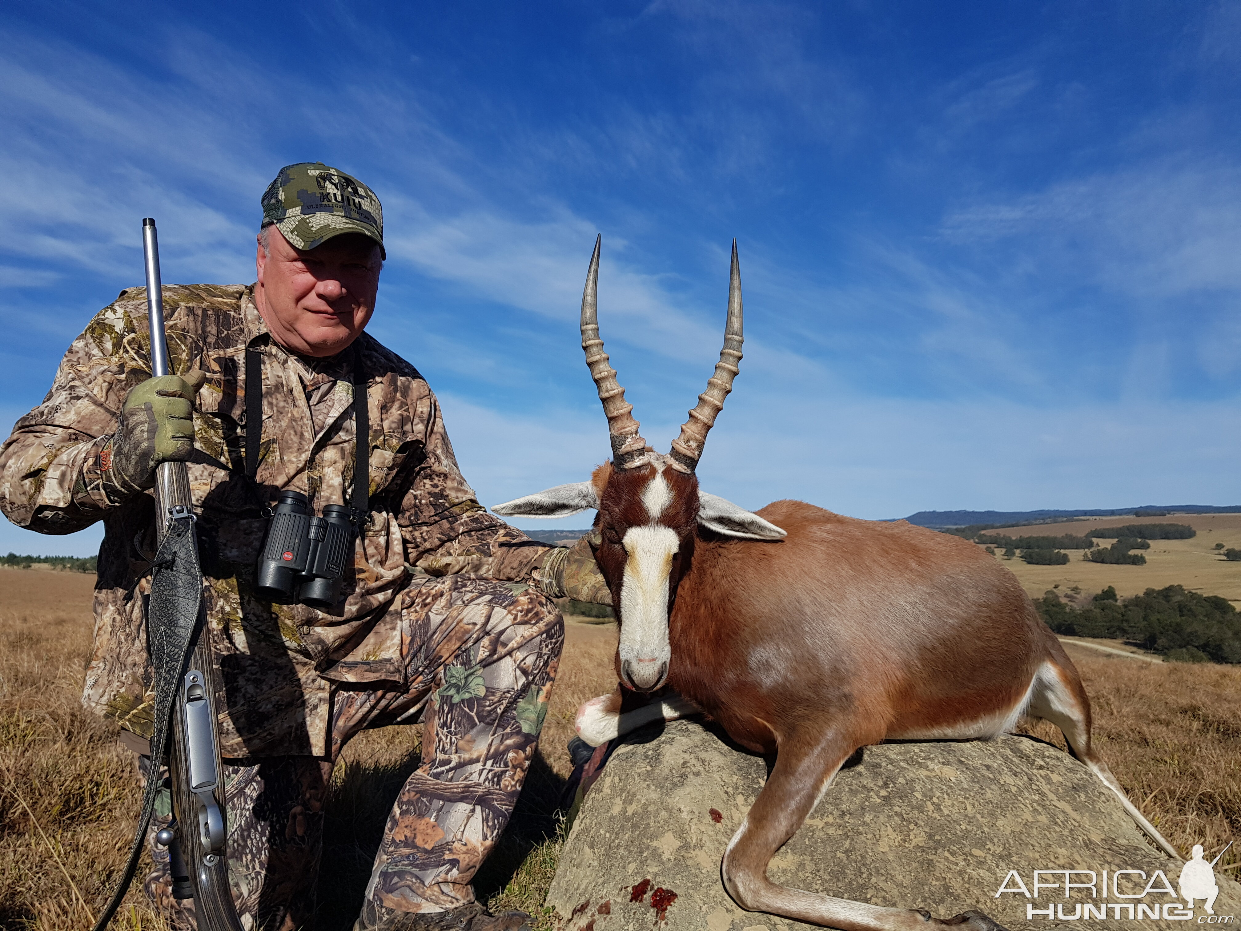 Hunt Blesbok in South Africa