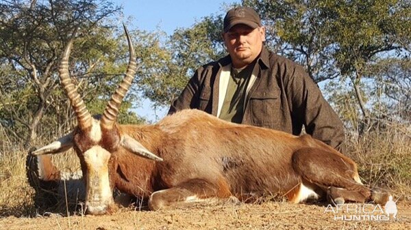 Hunt Blesbok in South Africa