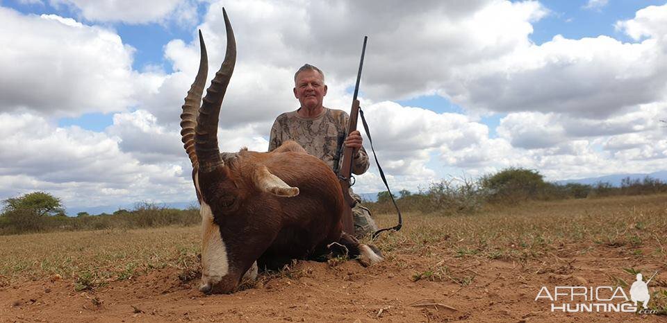 Hunt Blesbok in South Africa