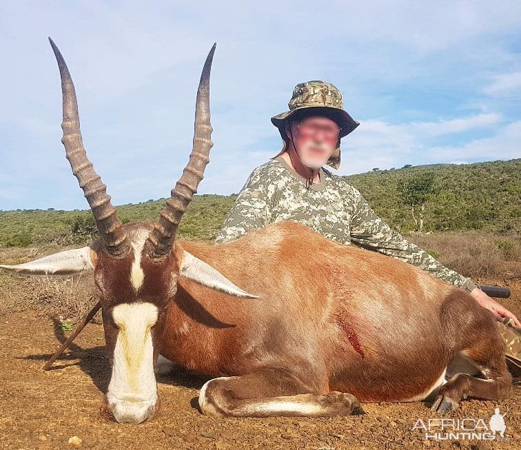 Hunt Blesbok in South Africa