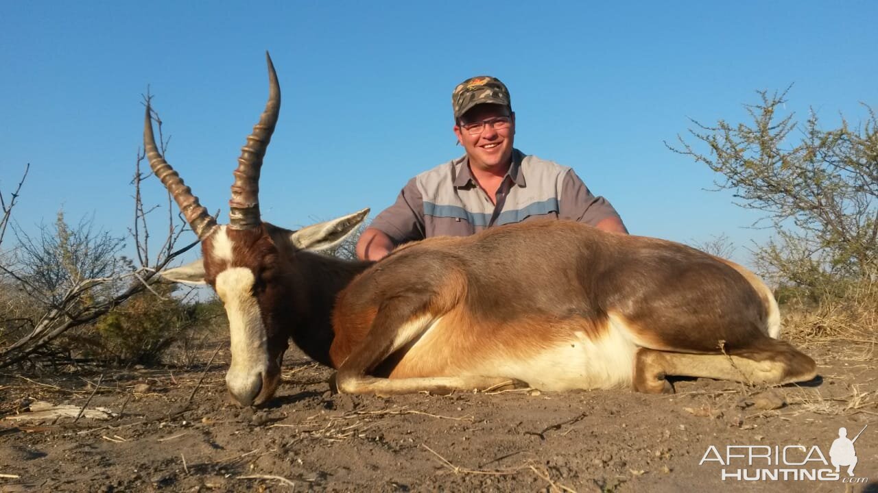 Hunt Blesbok in South Africa