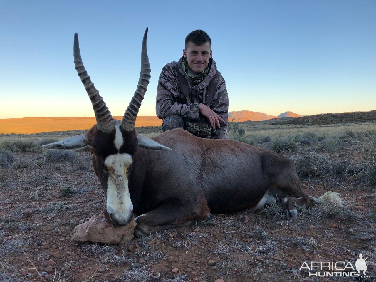 Hunt Blesbok in South Africa