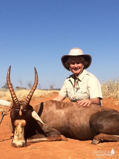 Hunt Blesbok South Africa