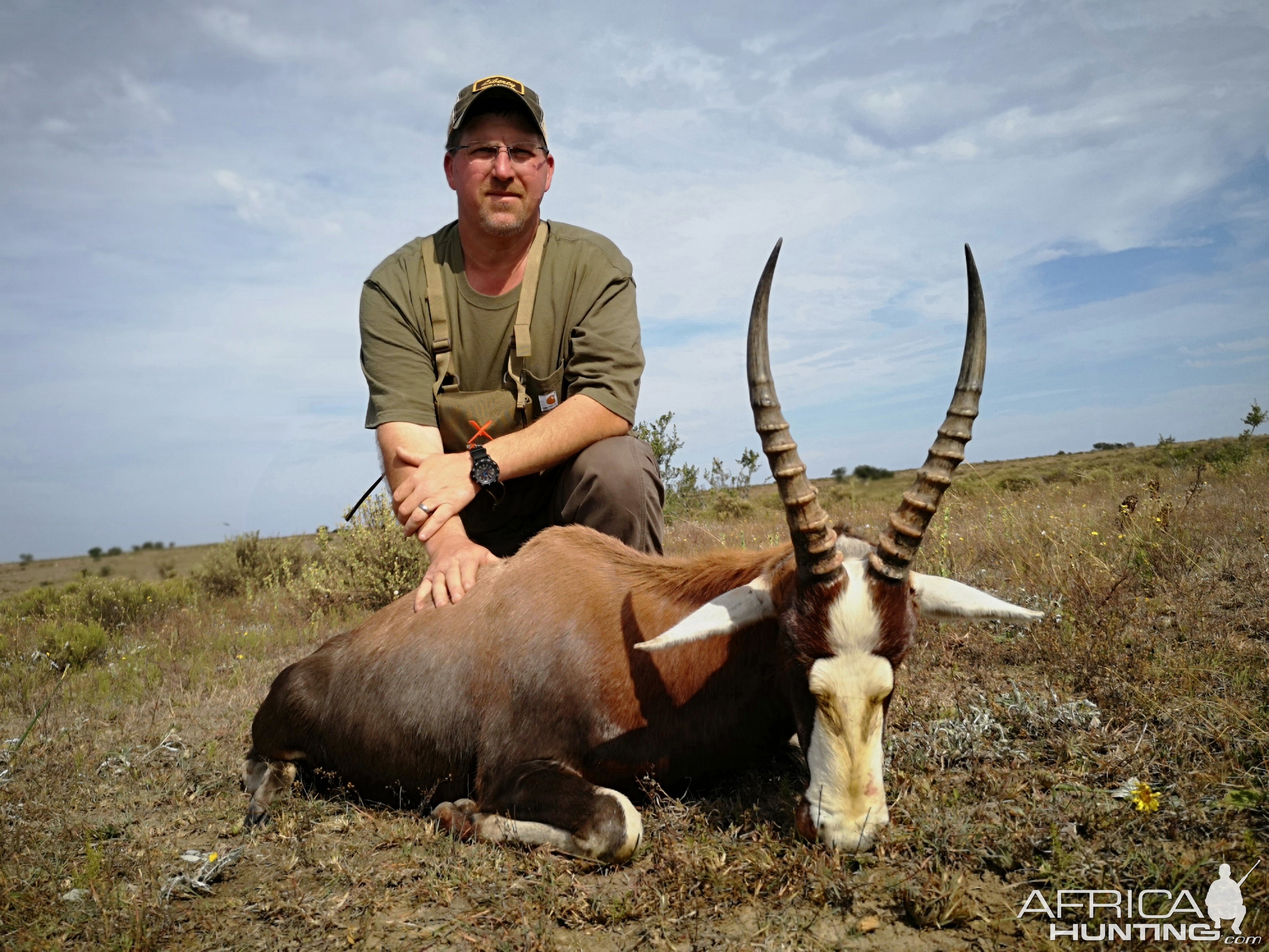 Hunt Blesbok South Africa