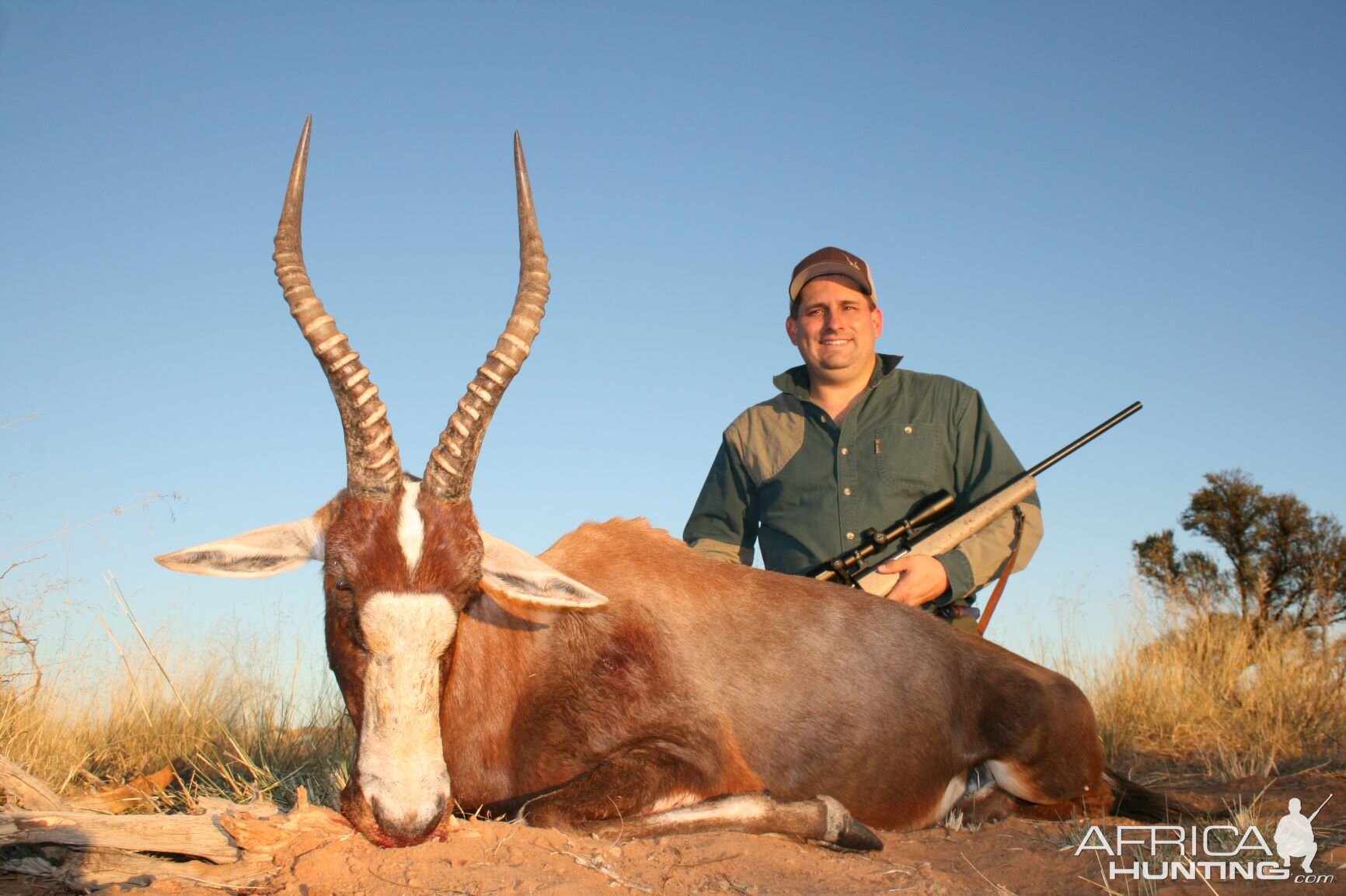 Hunt Blesbok South Africa