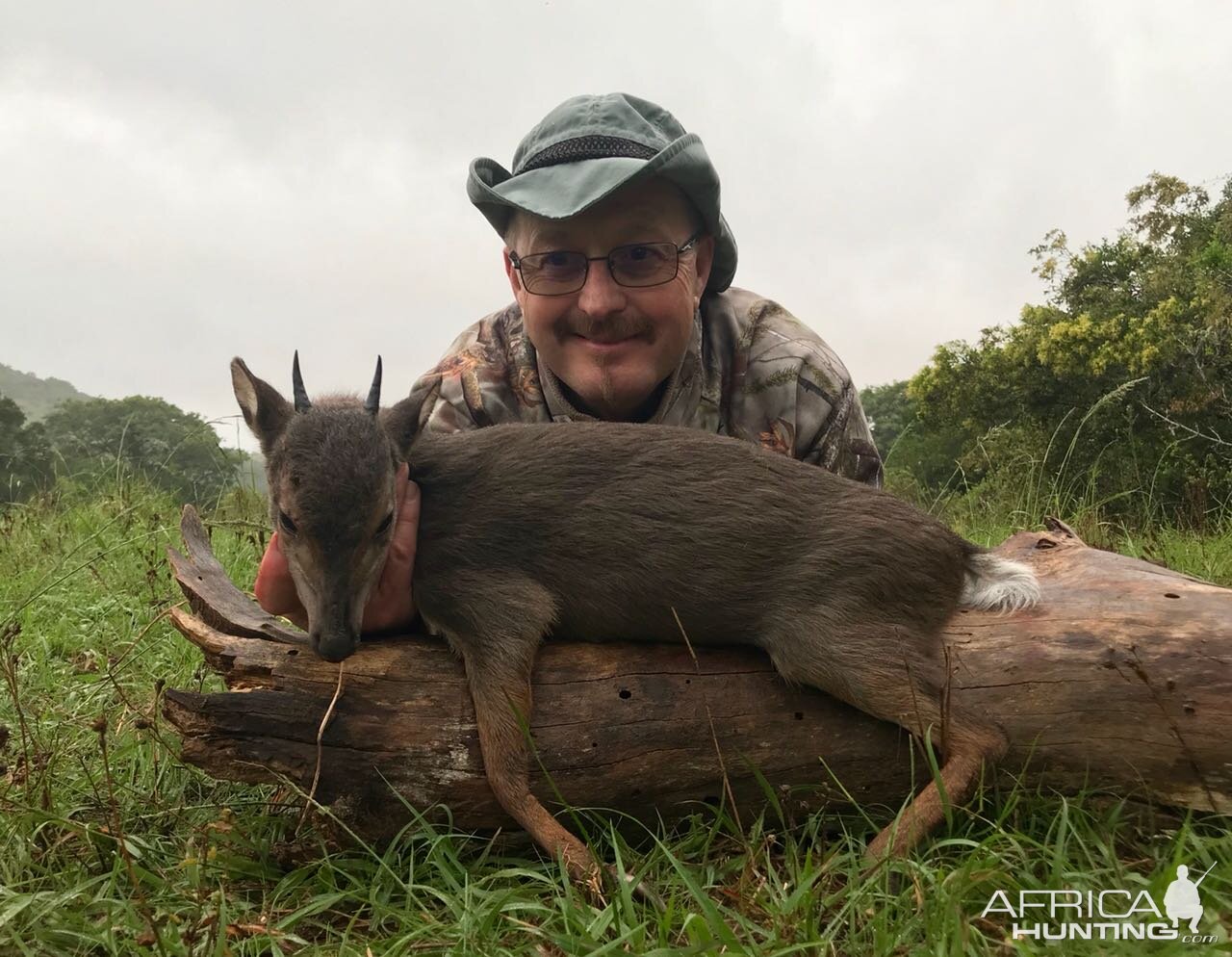 Hunt Blue Duiker in South Africa