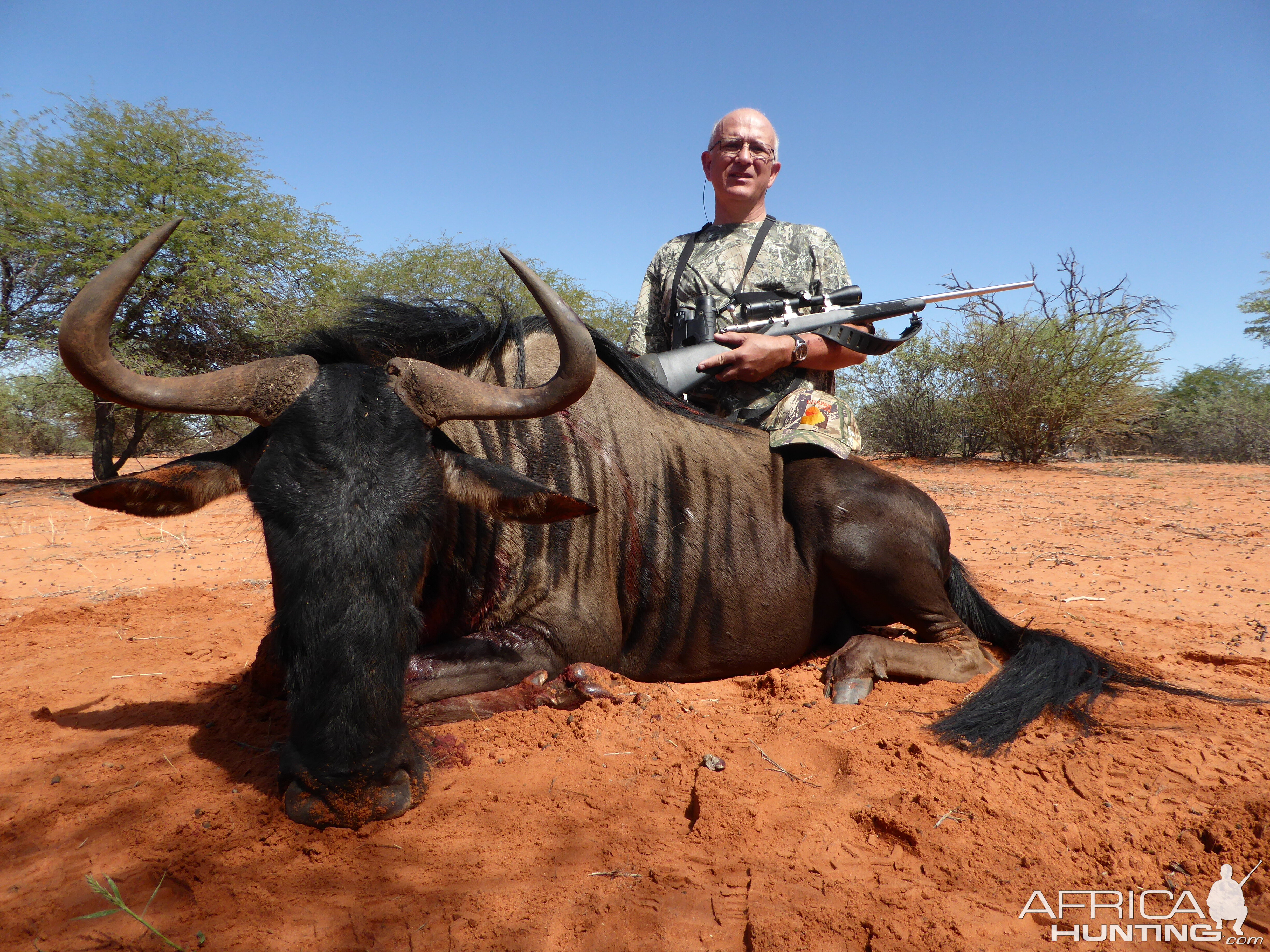 Hunt Blue Wildebeest in Namibia