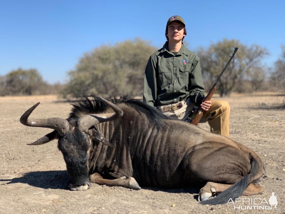 Hunt Blue Wildebeest in Namibia