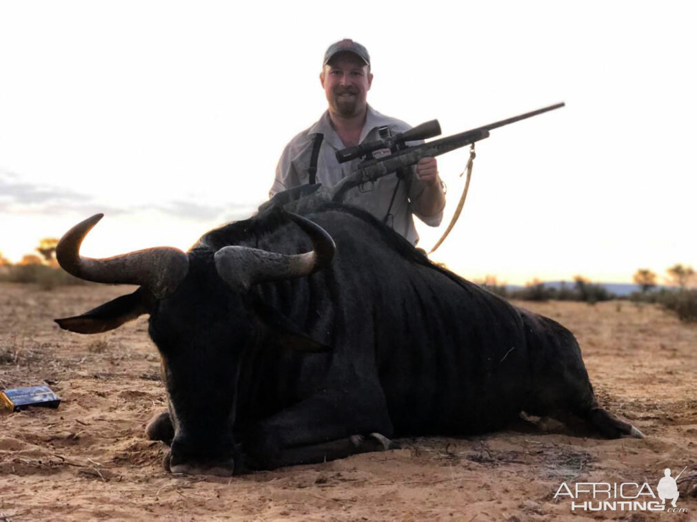 Hunt Blue Wildebeest in Namibia