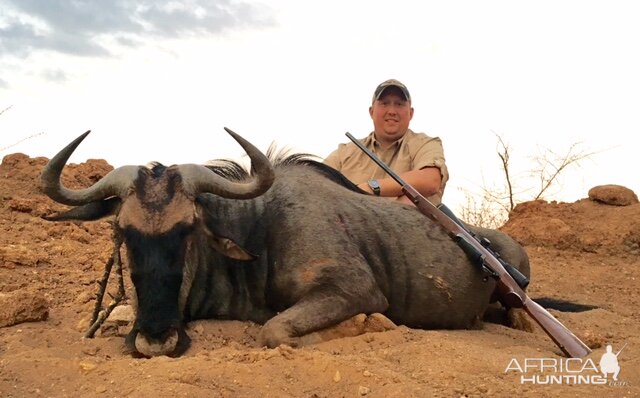 Hunt Blue Wildebeest in South Africa