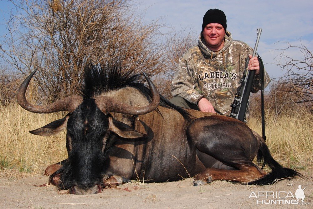 Hunt Blue Wildebeest in South Africa