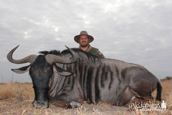 Hunt Blue Wildebeest in South Africa