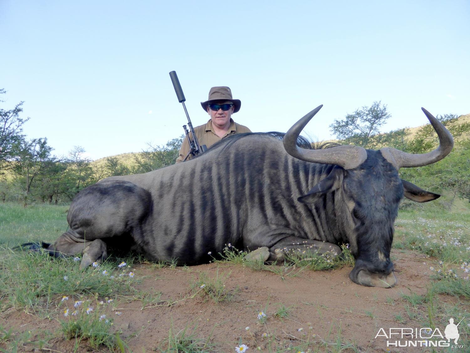 Hunt Blue Wildebeest in South Africa