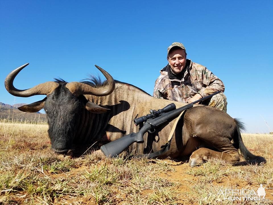 Hunt Blue Wildebeest in South Africa