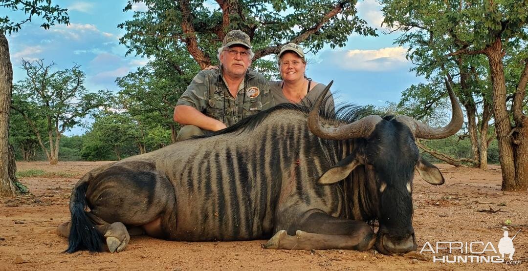 Hunt Blue Wildebeest in South Africa