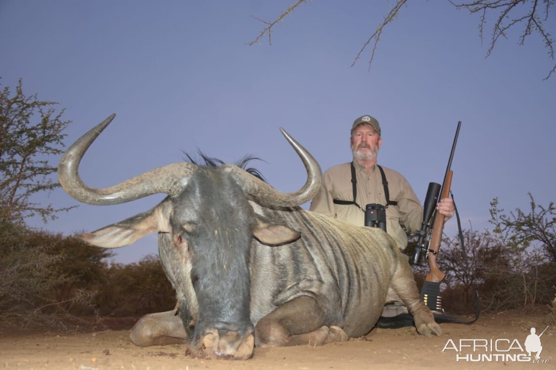 Hunt Blue Wildebeest in South Africa