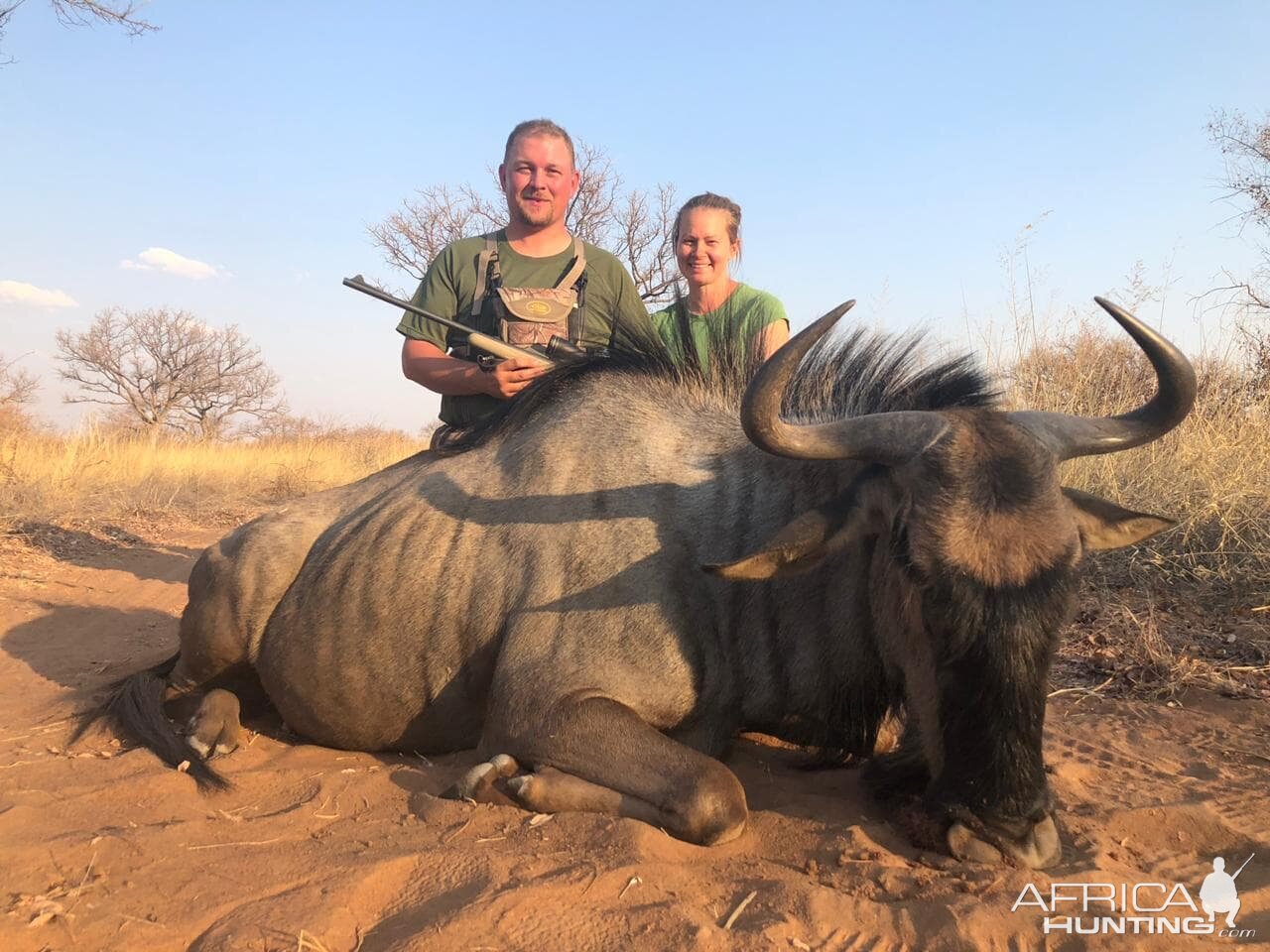 Hunt Blue Wildebeest in South Africa