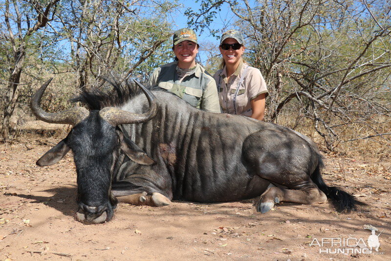 Hunt Blue Wildebeest in Zimbabwe