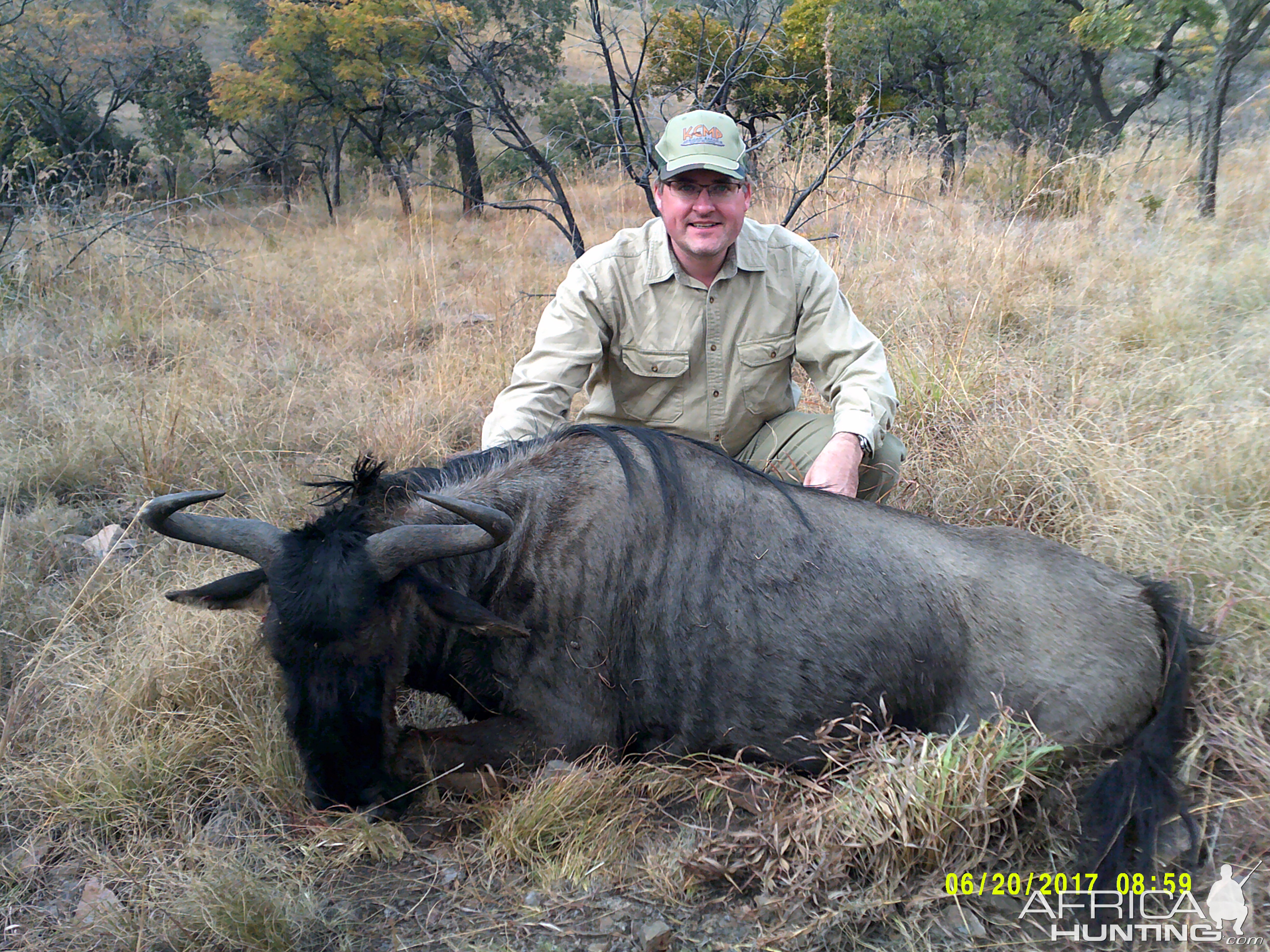 Hunt Blue Wildebeest South Africa