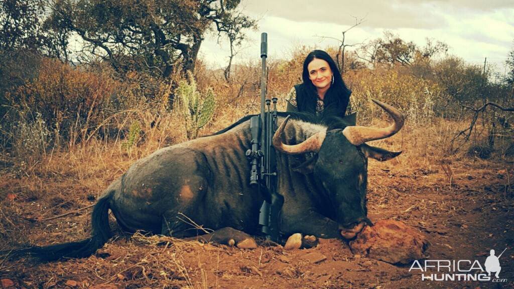 Hunt Blue Wildebeest South Africa