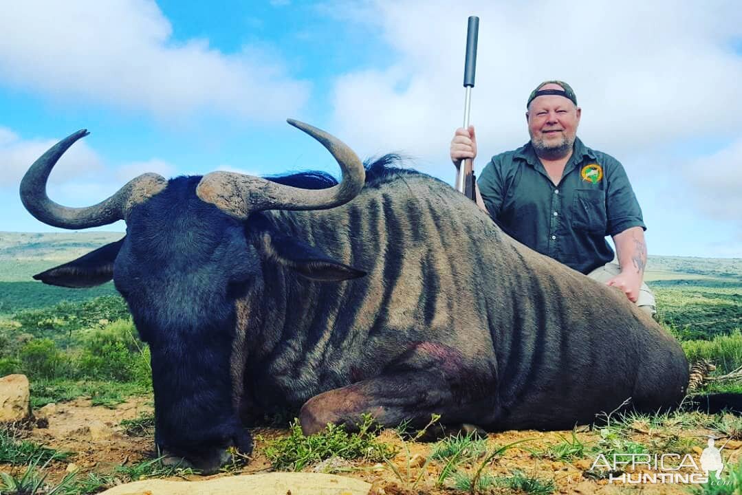 Hunt Blue Wildebeest South Africa