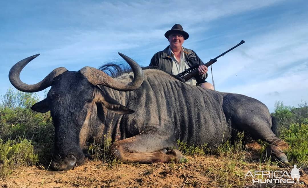 Hunt Blue Wildebeest South Africa