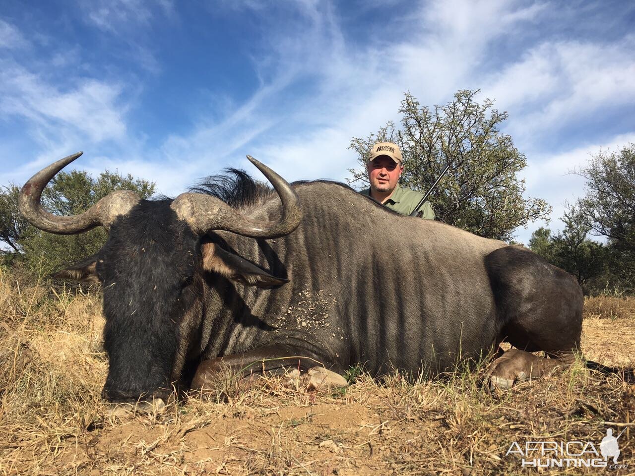 Hunt Blue Wildebeest South Africa