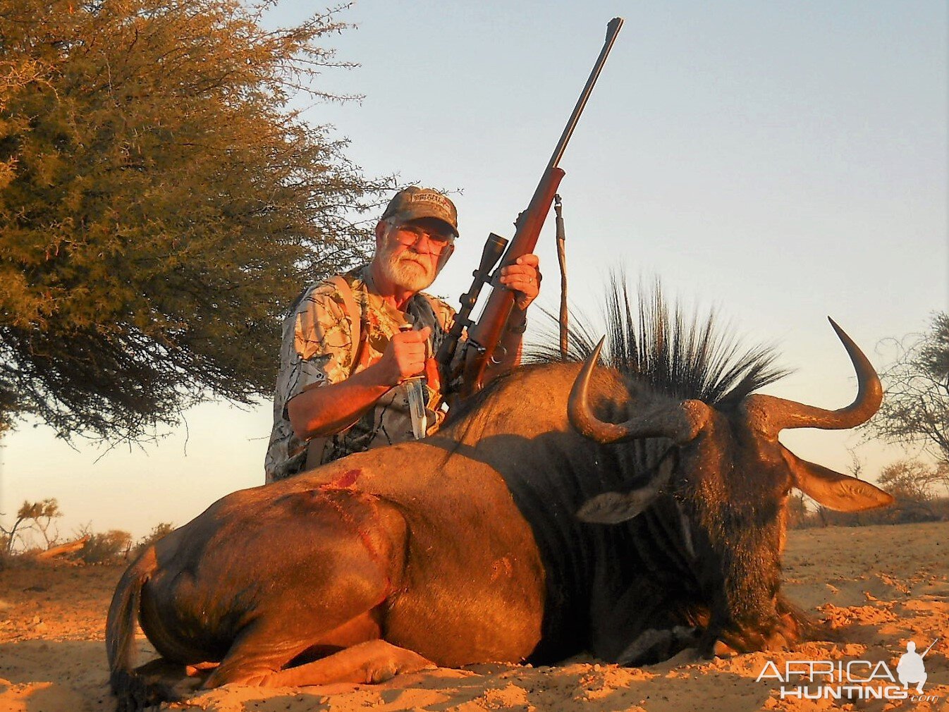 Hunt Blue Wildebeest South Africa