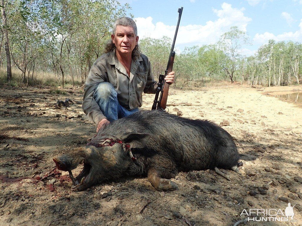 Hunt Boar in Australia