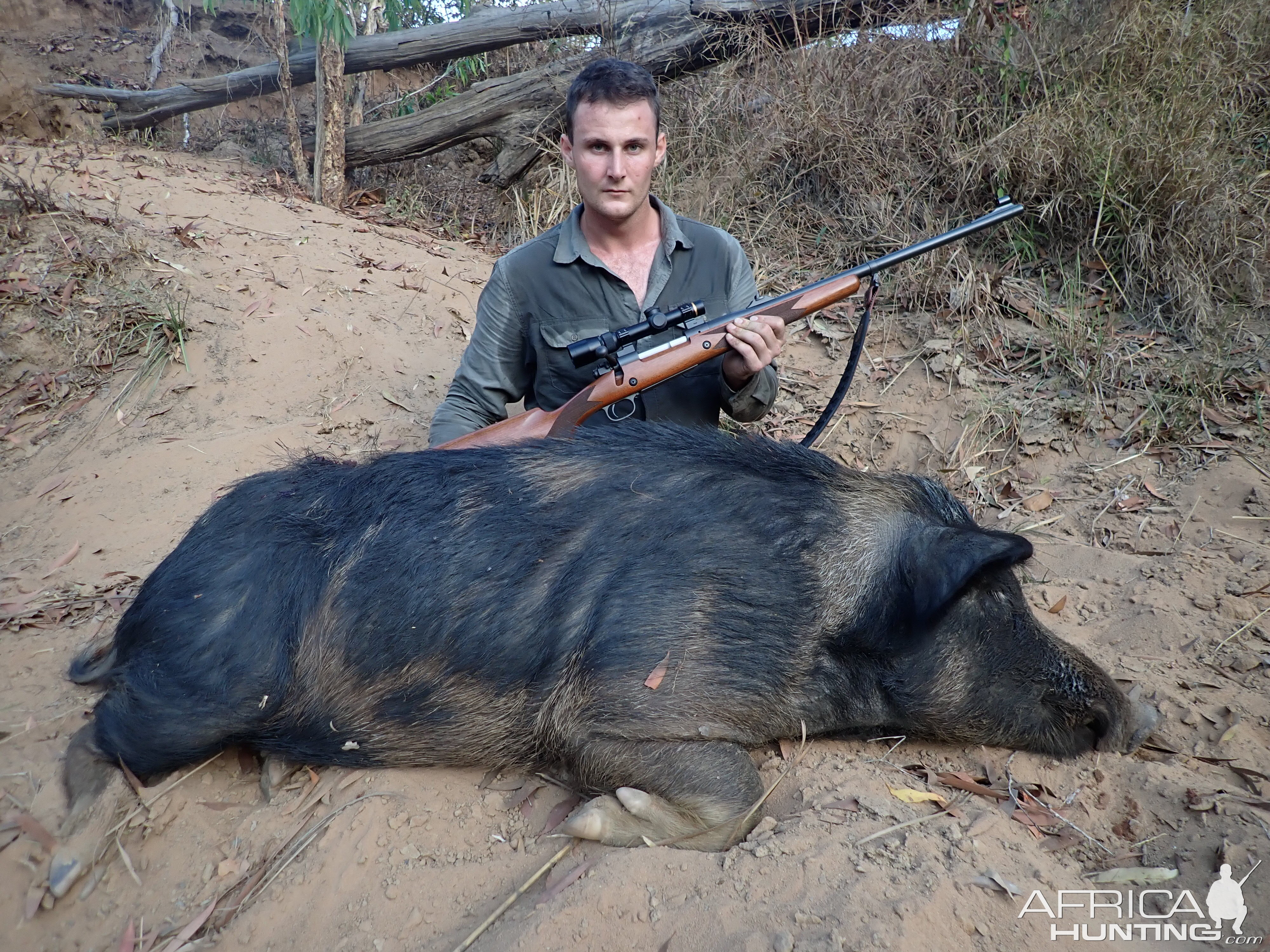 Hunt Boar in Australia