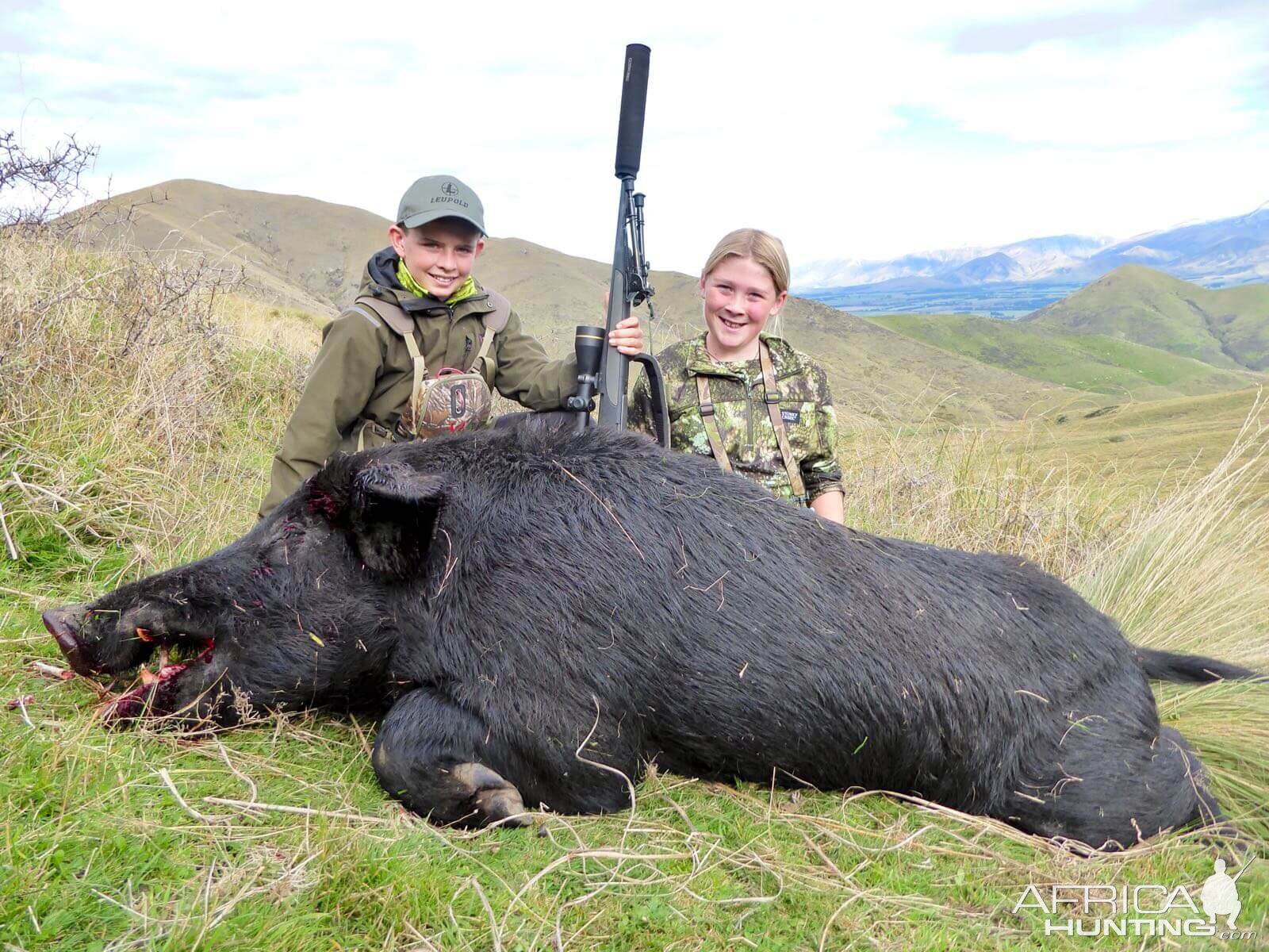 Hunt  Boar in New Zealand