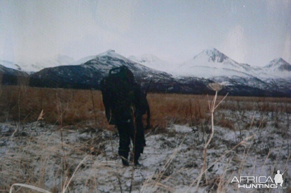 Hunt Brown Bear in Alaska Peninsula USA