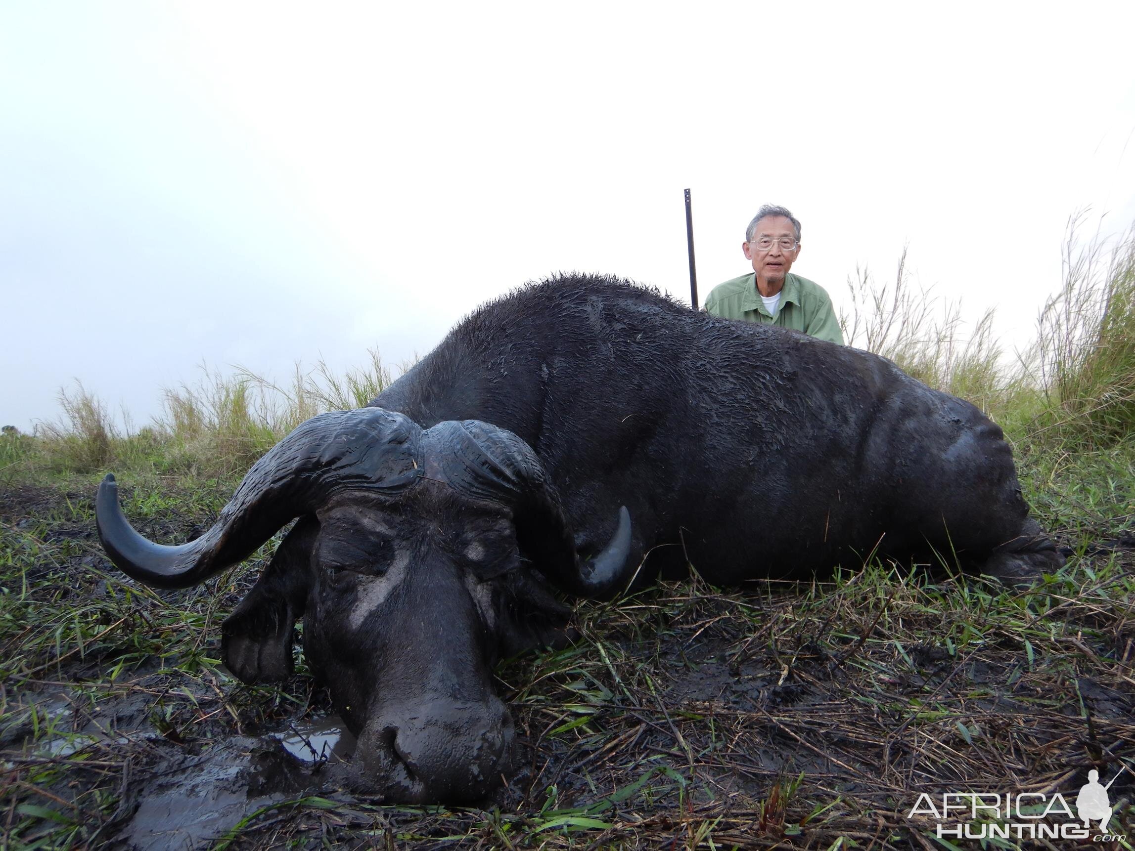 Hunt Buffalo in Mozambique