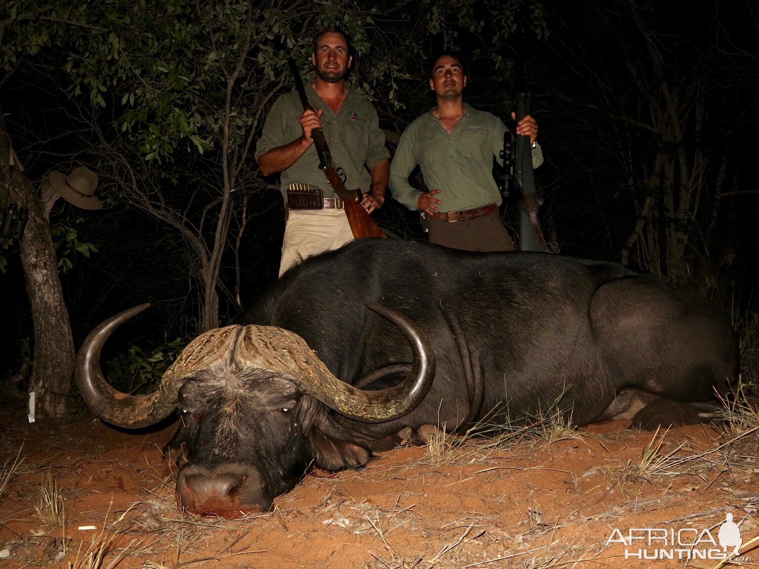 Hunt Buffalo in Namibia