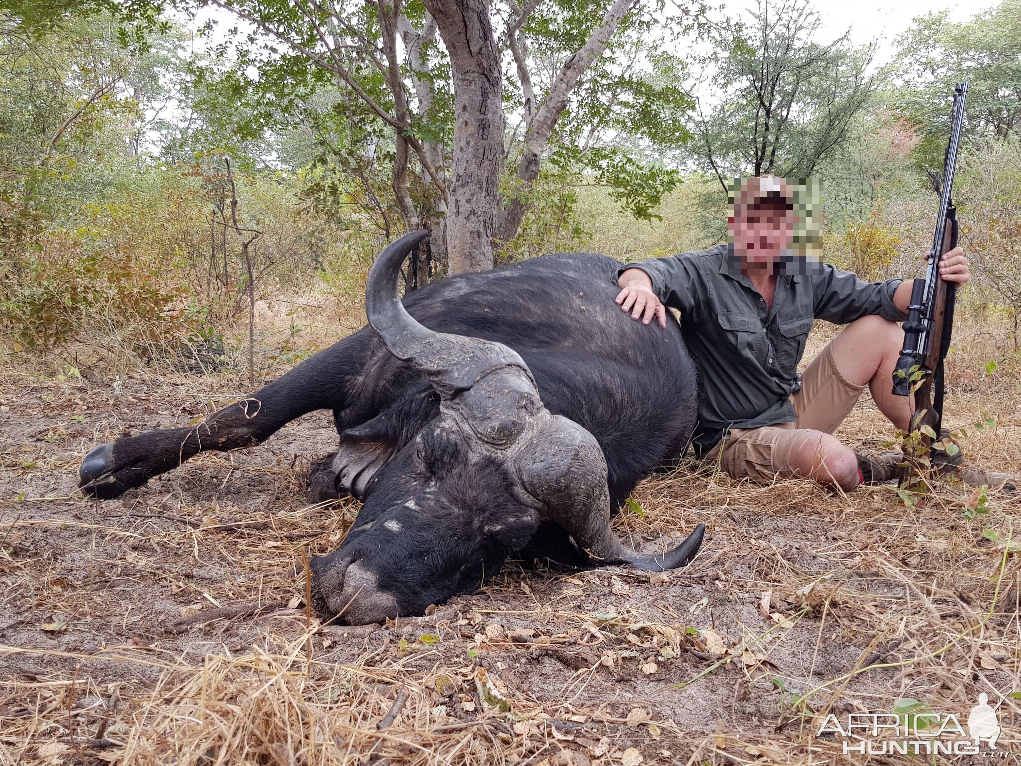 Hunt Buffalo in Namibia