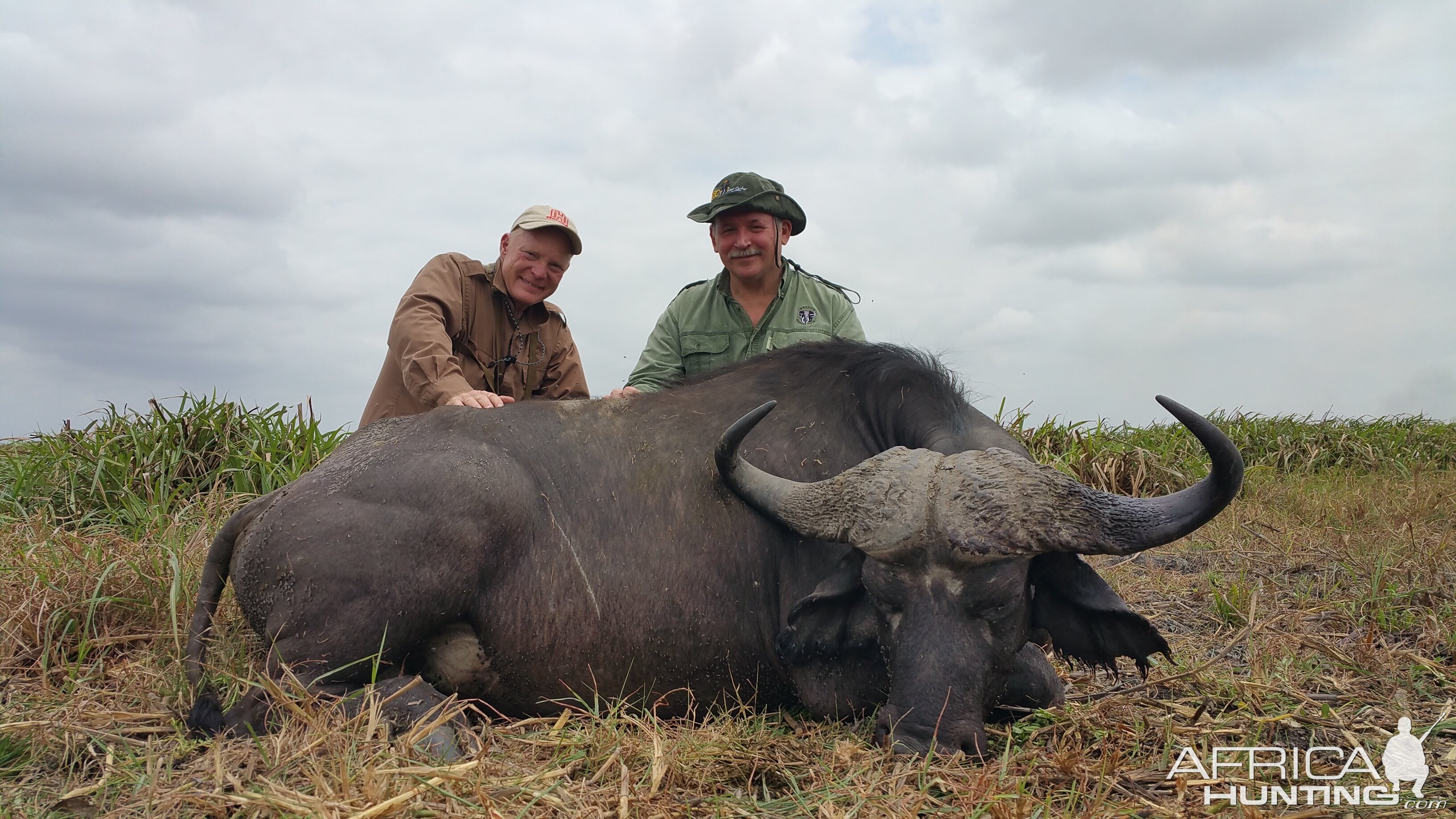 Hunt Buffalo Mozambique