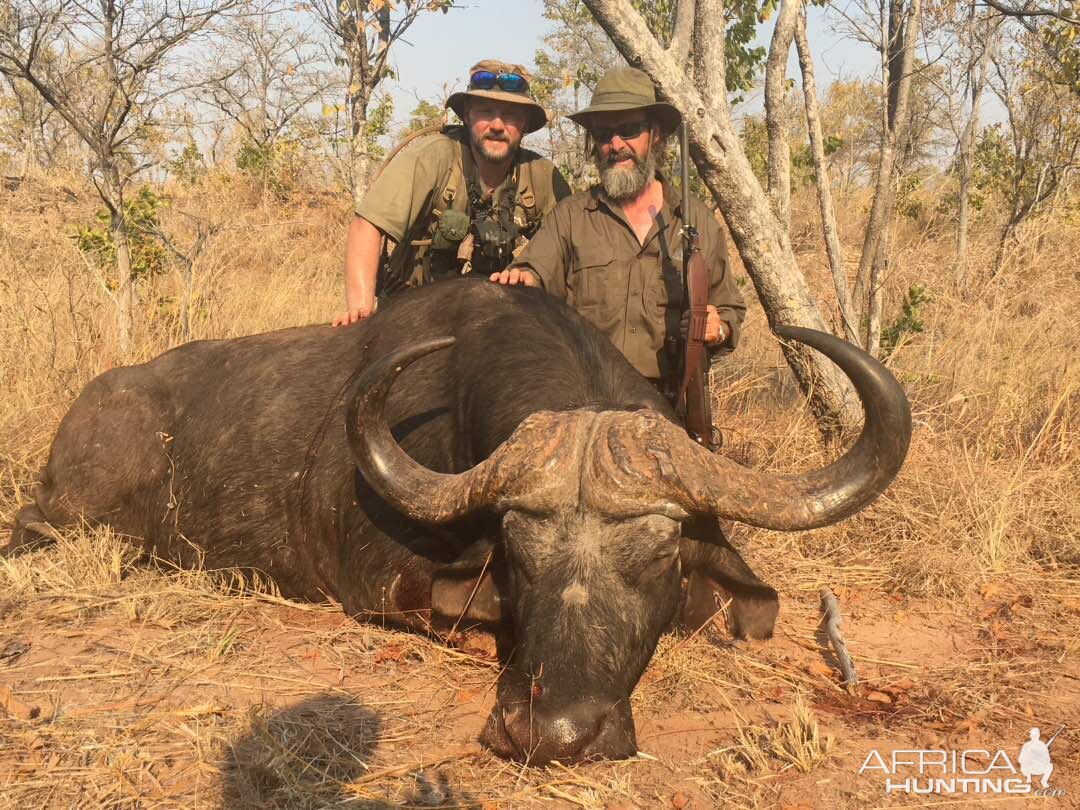 Hunt Buffalo Zimbabwe