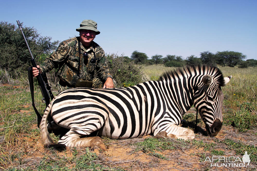 Hunt Burchell's Plain Zebra in Namibia