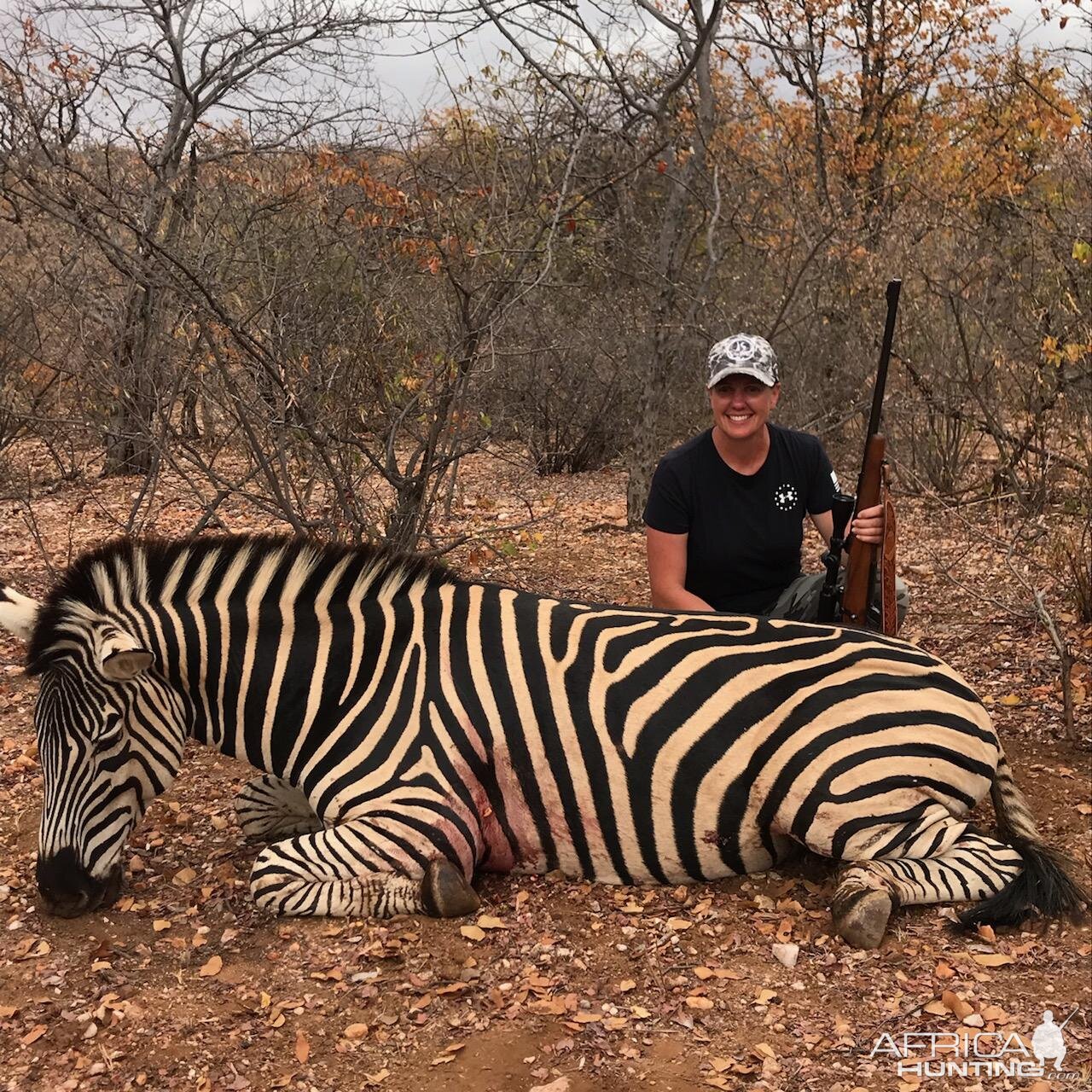 Hunt Burchell's Plain Zebra in South Africa