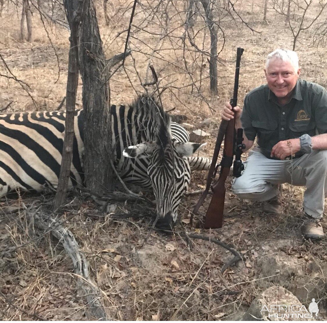 Hunt Burchell's Plain Zebra in Zimbabwe