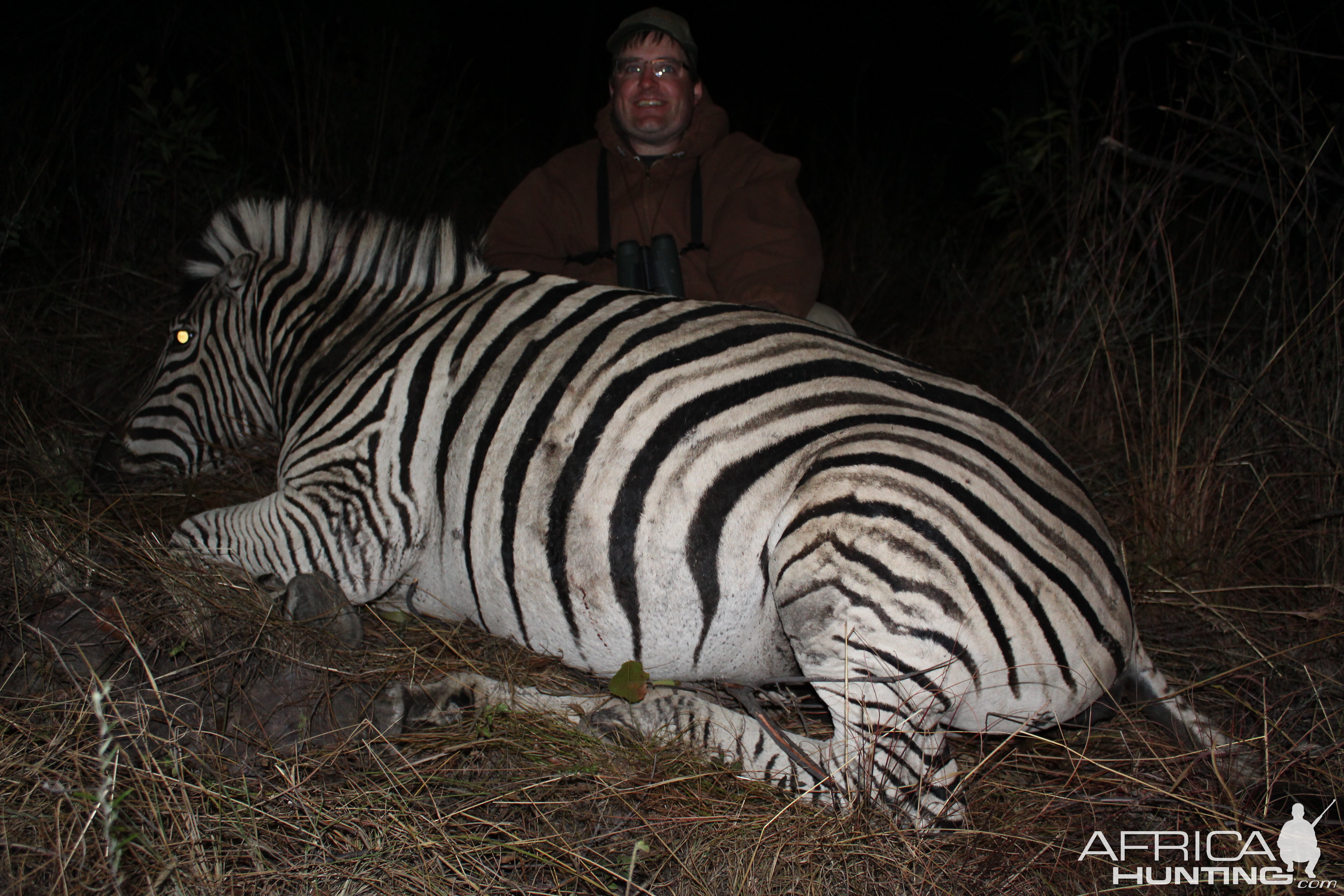 Hunt Burchell's Plain Zebra South Africa