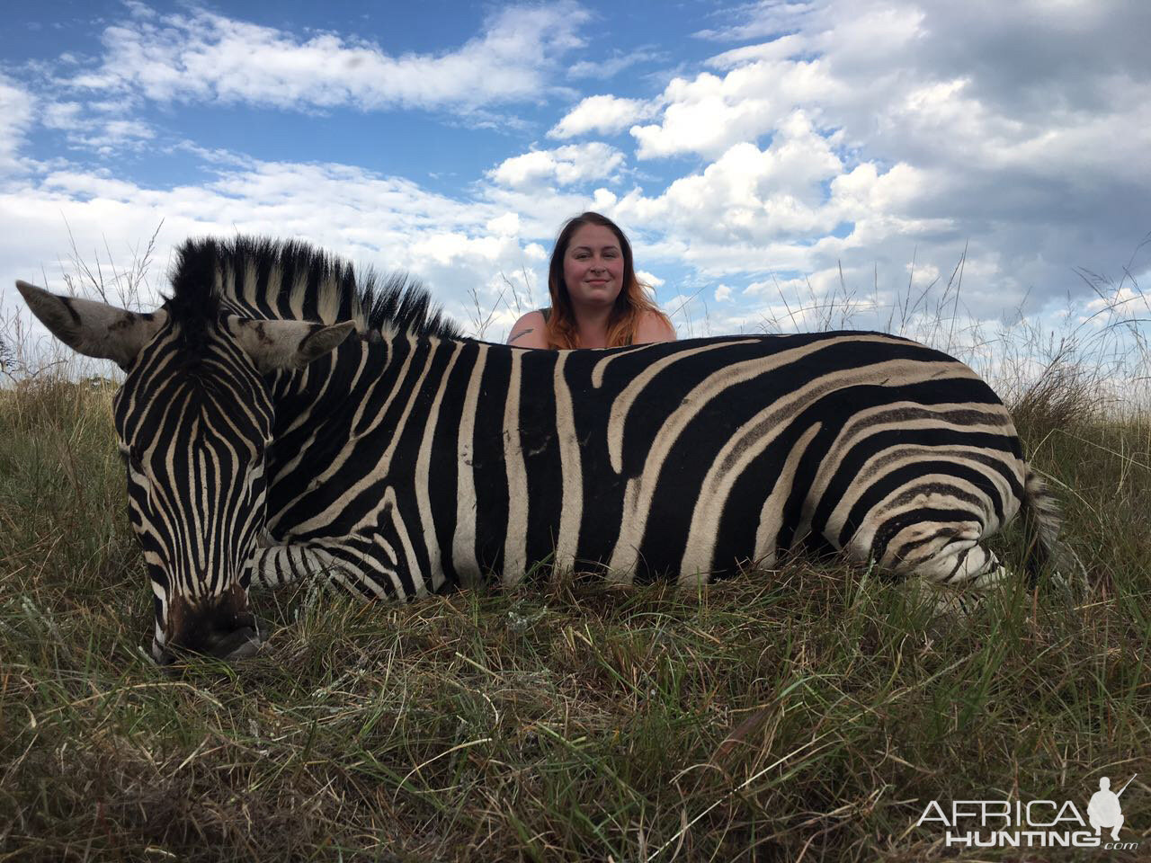 Hunt Burchell's Plain Zebra South Africa