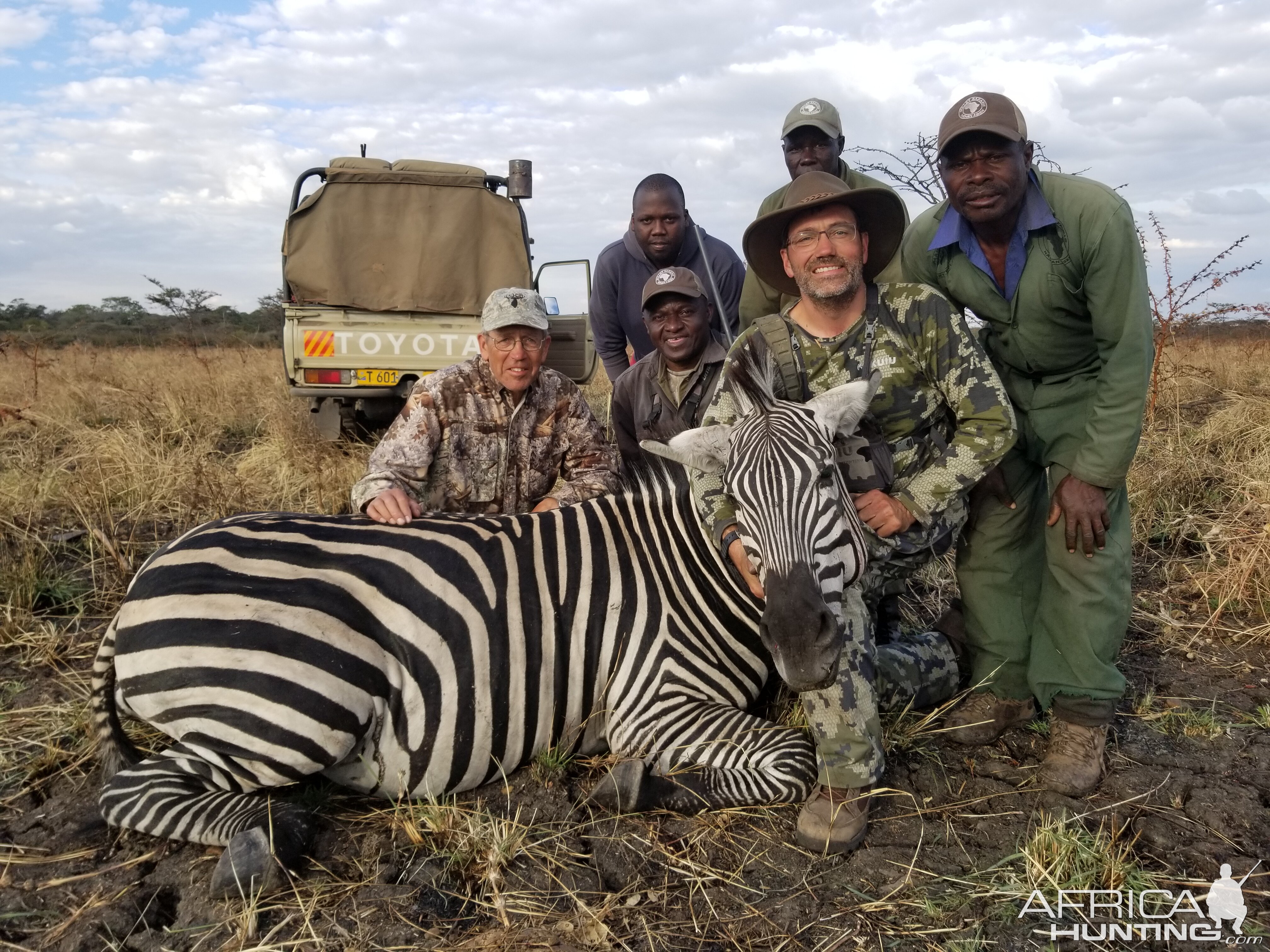 Hunt Burchell's Plain Zebra Tanzania