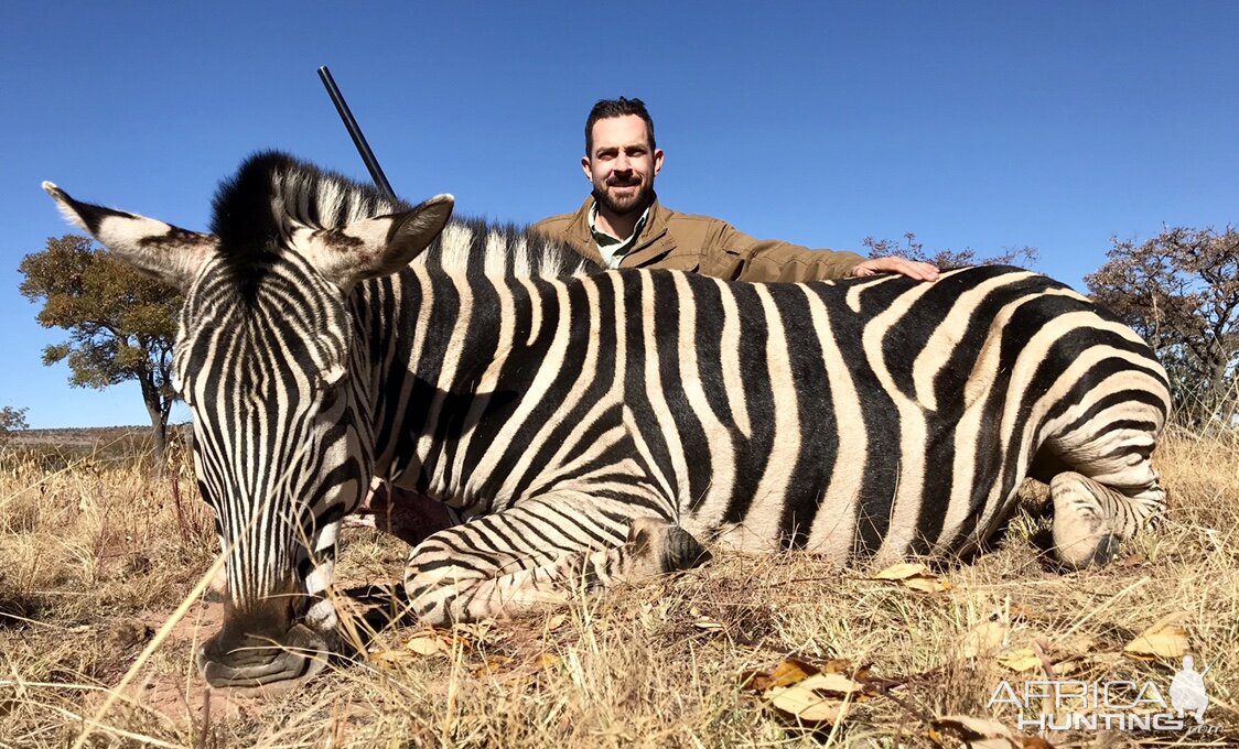 Hunt Burchell's Plain Zebra