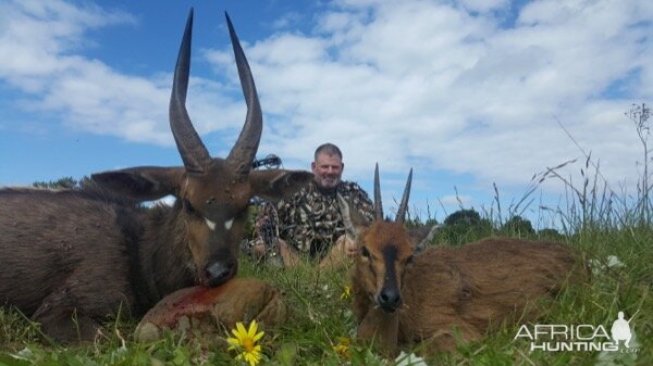 Hunt Bushbuck & Duiker in South Africa