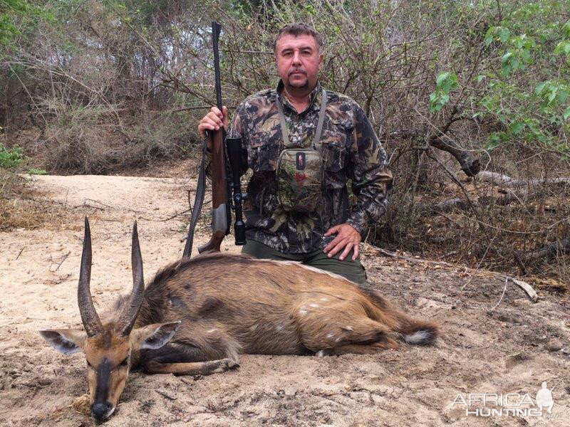 Hunt Bushbuck in Mozambique