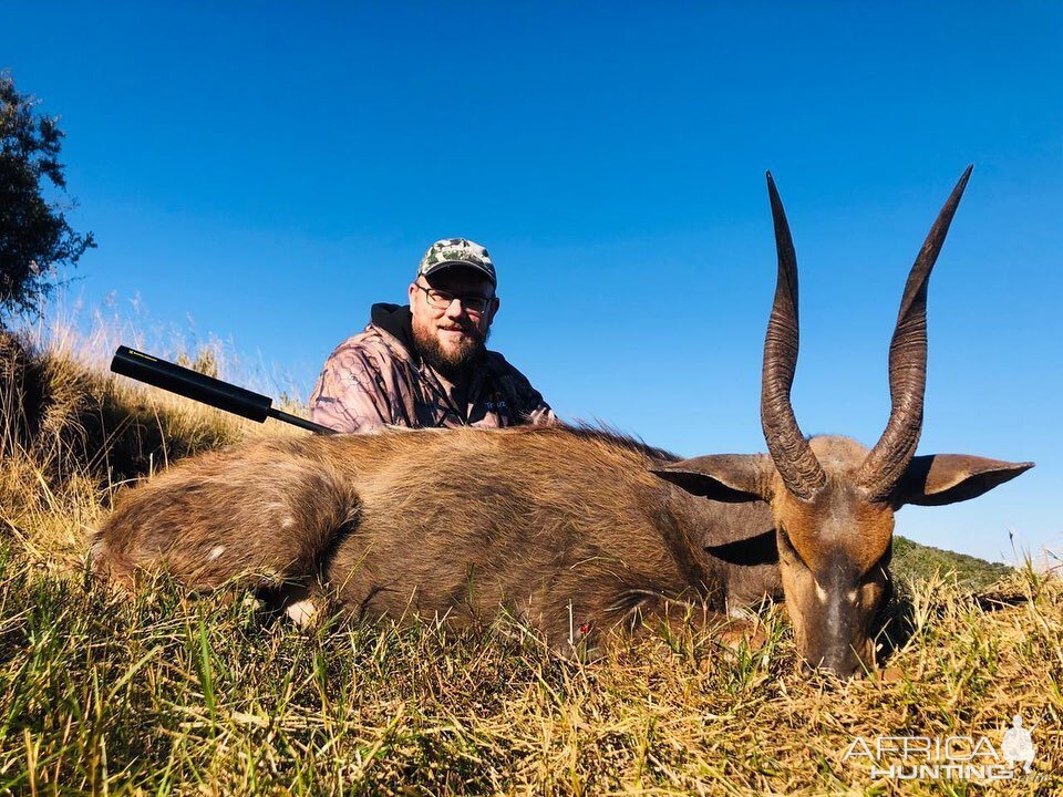 Hunt Bushbuck in South Africa