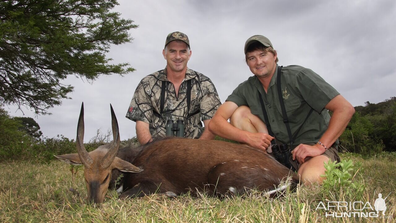 Hunt Bushbuck in South Africa